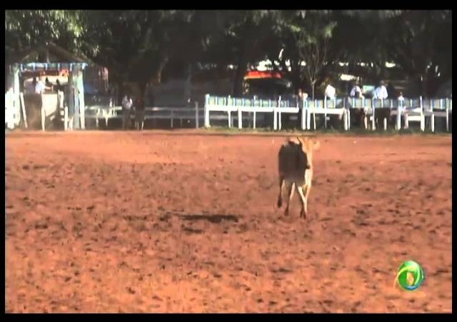 23ª Fecars »  Laço Veterano »  28ª RT