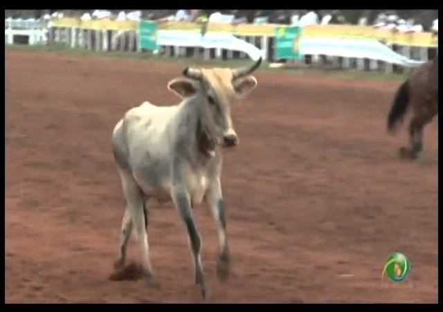 23ª Fecars »  Laço Veterano »  25ª RT