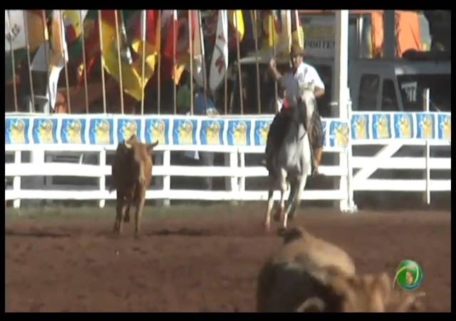 23ª Fecars »  Laço Veterano »  24ª RT