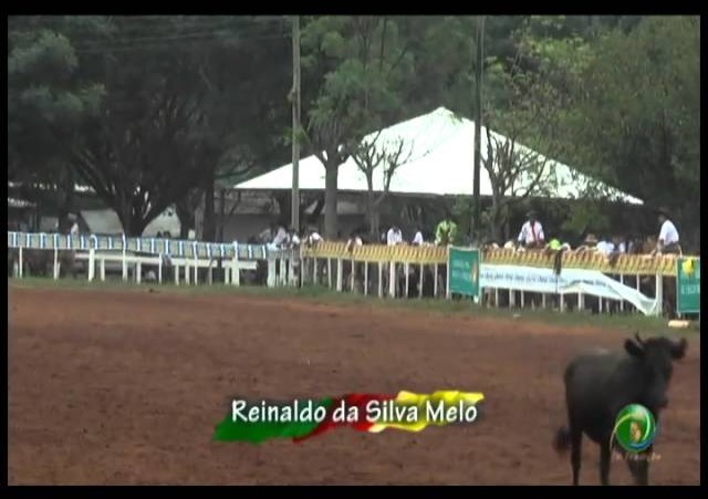 23ª Fecars »  Laço Veterano »  23ª RT