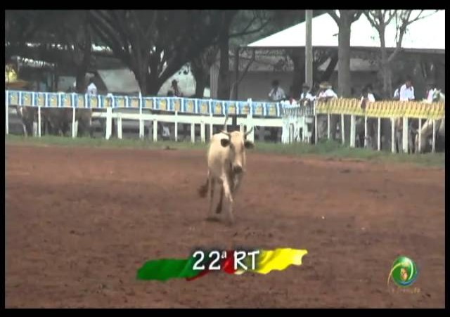 23ª Fecars »  Laço Veterano »  22ª RT