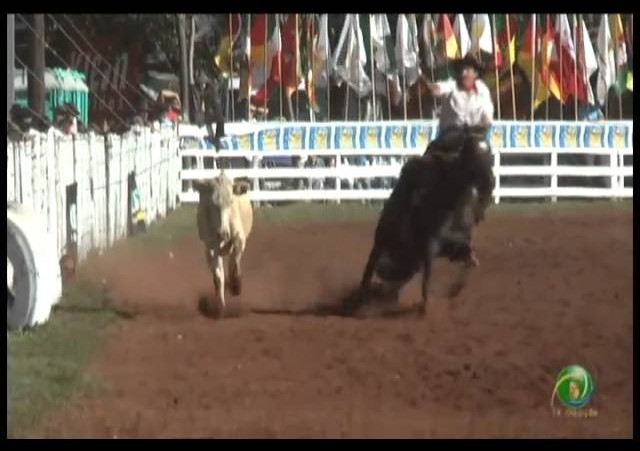 23ª Fecars »  Laço Veterano »  20ª RT