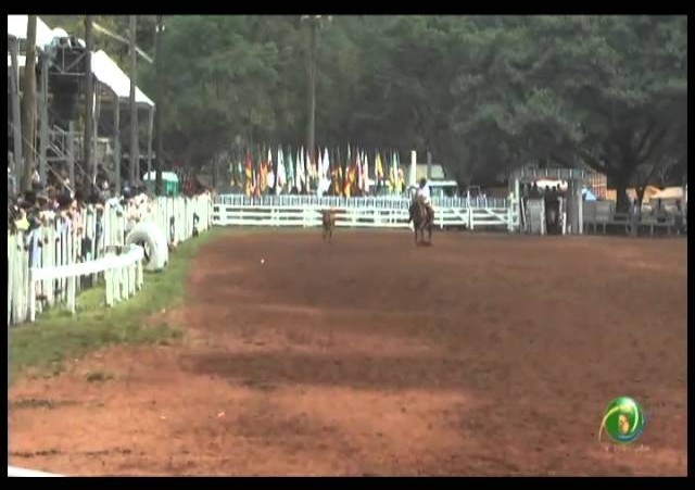 23ª Fecars »  Laço Veterano »  14ª RT