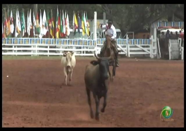 23ª Fecars »  Laço Veterano »  13ª RT