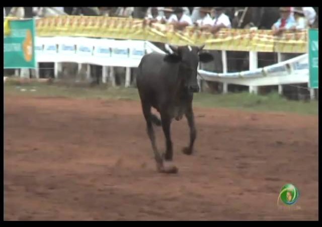 23ª Fecars »  Laço Veterano »  10ª RT