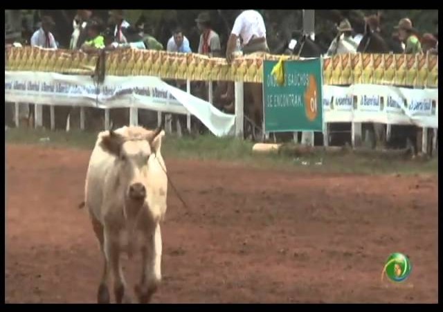 23ª Fecars »  Laço Veterano »  9ª RT