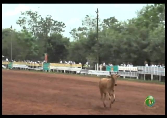 23ª Fecars »  Laço Veterano »  3ª RT