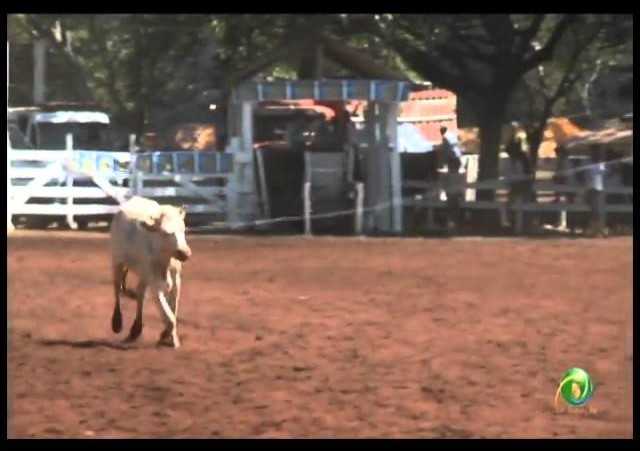 23ª Fecars »  Laço Prenda »  Disputa de 1º e 2º Lugar