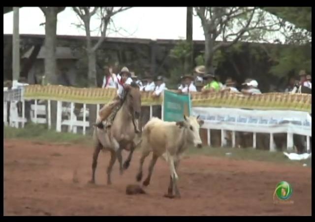 23ª Fecars »  Laço Piá »  29ª RT