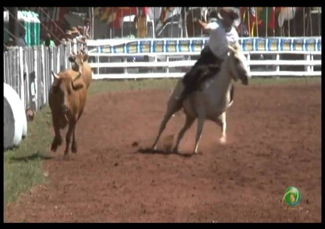 23ª Fecars »  Laço Capataz »  6ª RT