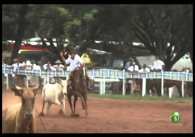 23ª Fecars »  Laço Capataz »  10ª RT