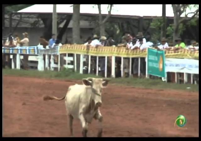 23ª Fecars »  Laço Piá »  3ª RT