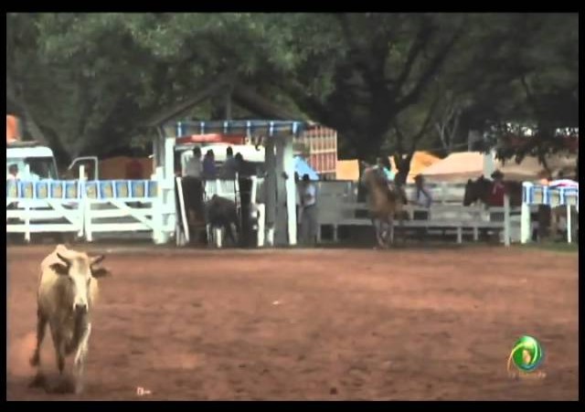 23ª Fecars »  Laço Piá »  1ª RT