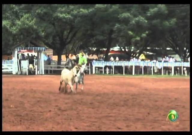 23ª Fecars »  Laço Dupla de Guri »  15ª RT