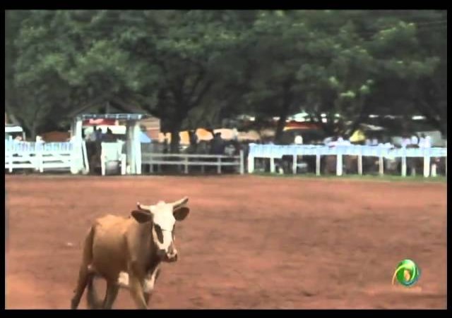 23ª Fecars »  Laço Dupla de Guri »  8ª RT