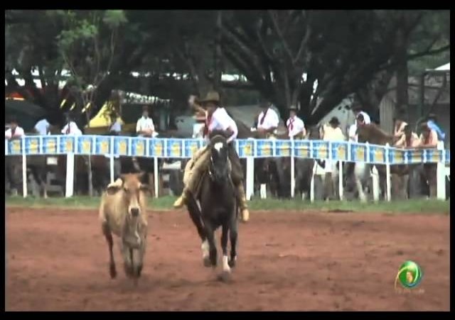 23ª Fecars »  Laço Dupla de Guri »  1ª RT