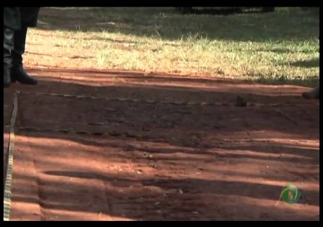 23ª Fecars »  Esportes »  Tava »  Domingo