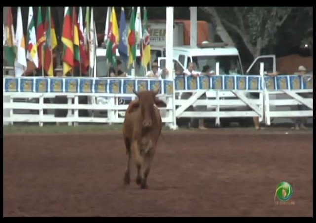 23ª Fecars »  Laço Dupla de Irmãos »  7ª RT