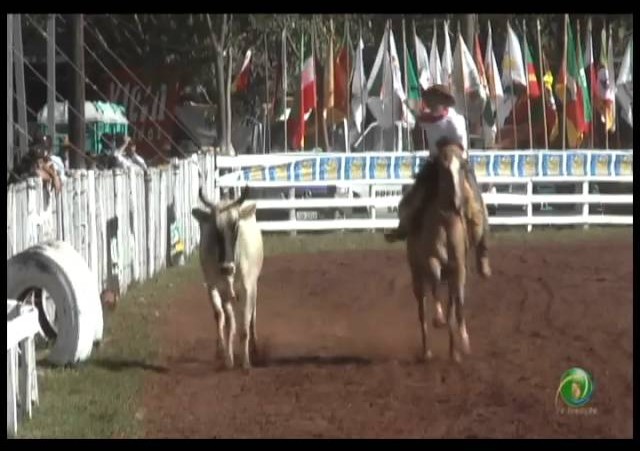 23ª Fecars »  Laço Dupla de Irmãos »  8ª RT