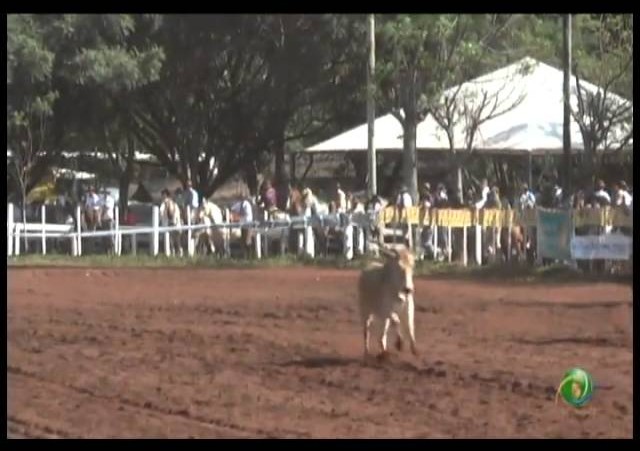 23ª Fecars »  Laço Dupla de Irmãos »  10ª RT