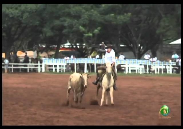 23ª Fecars »  Laço Dupla de Irmãos »  12ª RT