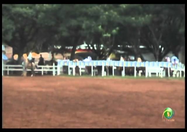 23ª Fecars »  Laço Dupla de Irmãos »  19ª RT