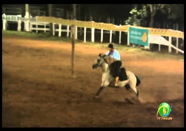 23ª Fecars »  Prova de Rédeas Peão »  20ª RT