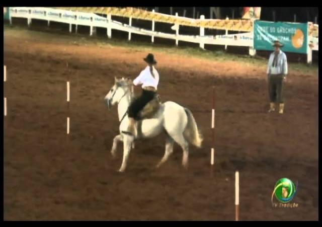 23ª Fecars »  Prova de Rédeas Prenda com idade de Peão »  27ª RT