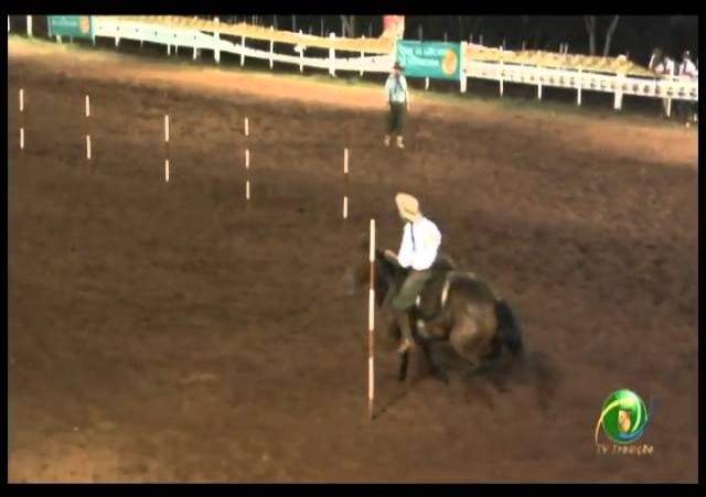 23ª Fecars »  Prova de Rédeas Prenda com idade de Peão »  25ª RT