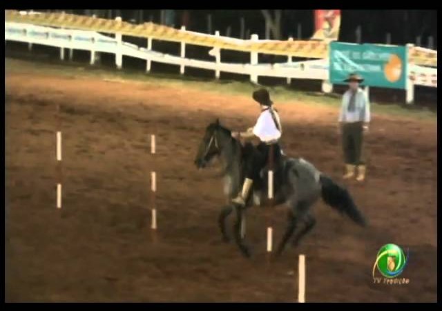 23ª Fecars »  Prova de Rédeas Prenda com idade de Peão »  23ª RT