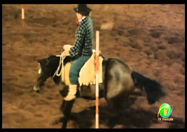 23ª Fecars »  Prova de Rédeas Prenda com idade de Peão »  22ª RT