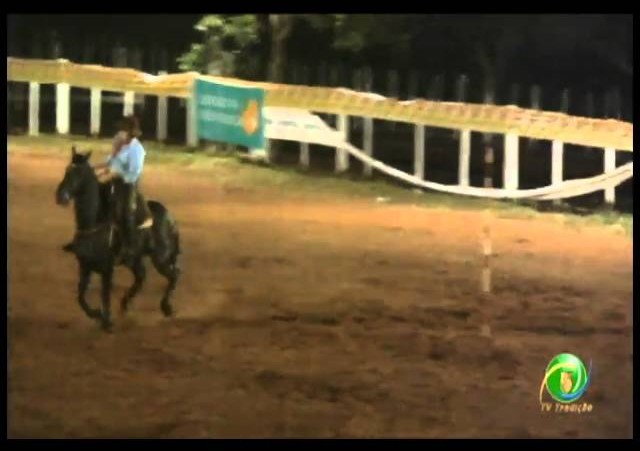 23ª Fecars »  Prova de Rédeas Prenda com idade de Peão »  17ª RT