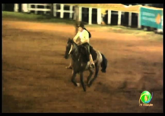 23ª Fecars »  Prova de Rédeas Prenda com idade de Peão »  15ª RT