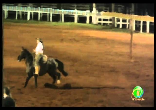 23ª Fecars »  Prova de Rédeas Prenda com idade de Guri »  26ª RT