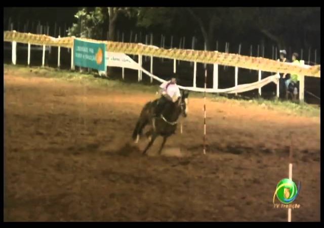 23ª Fecars »  Prova de Rédeas Prenda com idade de Piá »  25ª RT