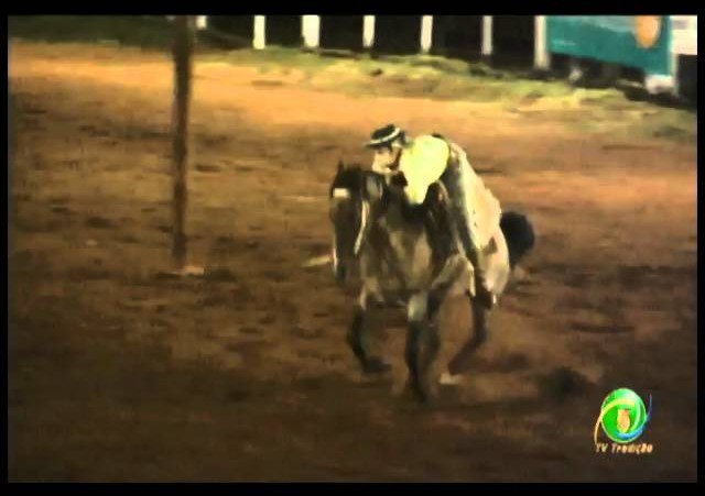 23ª Fecars »  Prova de Rédeas Prenda com idade de Guri »  15ª RT