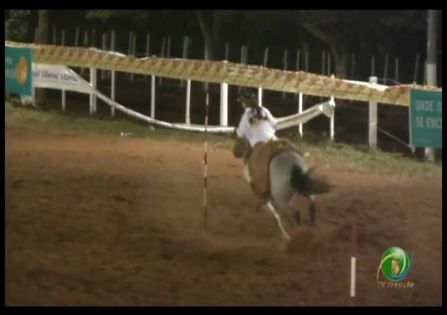 23ª Fecars »  Prova de Rédeas Prenda com idade de Peão »  13ª RT