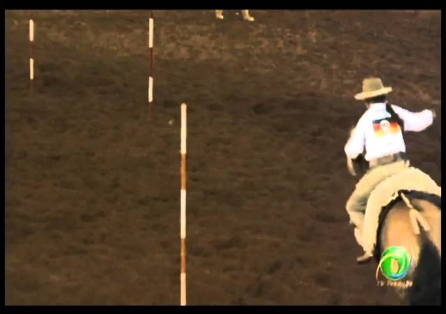 23ª Fecars »  Prova de Rédeas Prenda com idade de Guri »  13ª RT