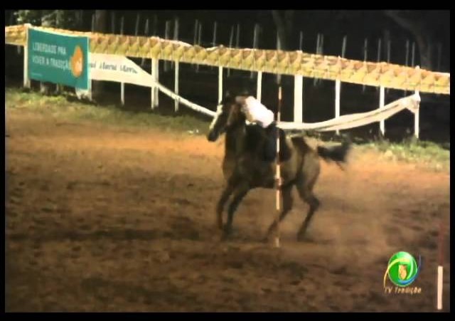 23ª Fecars »  Prova de Rédeas Prenda com idade de Peão »  9ª RT
