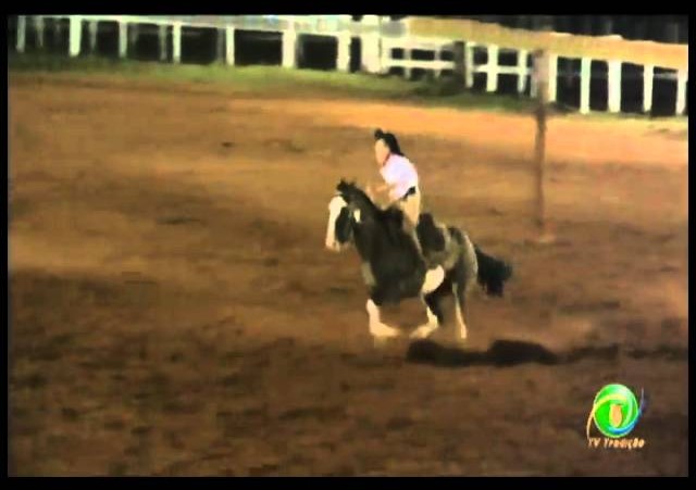 23ª Fecars »  Prova de Rédeas Prenda com idade de Piá »  8ª RT