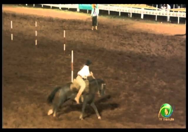 23ª Fecars »  Prova de Rédeas Prenda com idade de Guri »  3ª RT