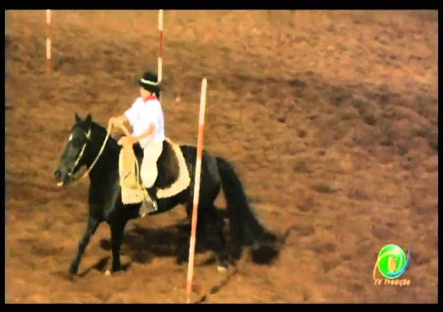 23ª Fecars »  Prova de Rédeas Prenda com idade de Piá »  1ª RT