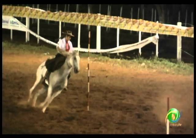 23ª Fecars »  Prova de Rédeas Prenda com idade de Guri »  1ª RT