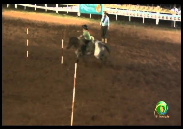 23ª Fecars »  Prova de Rédeas Guri »  21ª RT