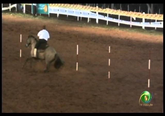 23ª Fecars »  Prova de Rédeas Guri »  14ª RT