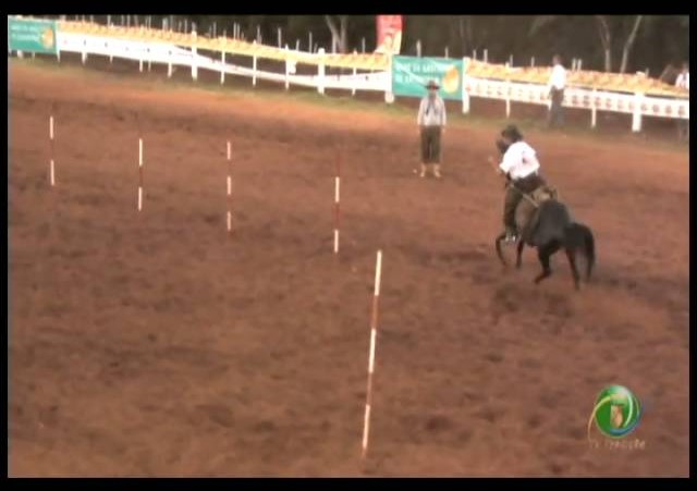 23ª Fecars »  Prova de Rédeas Guri »  12ª RT