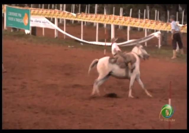 23ª Fecars »  Prova de Rédeas Guri »  6ª RT