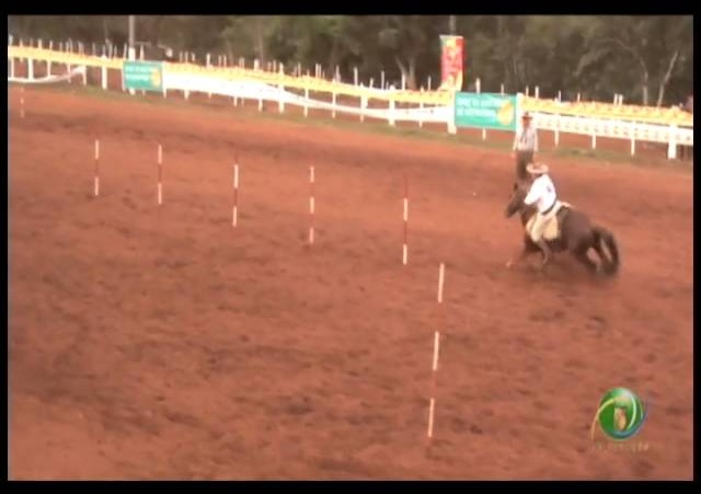 23ª Fecars »  Prova de Rédeas Guri »  1ª RT