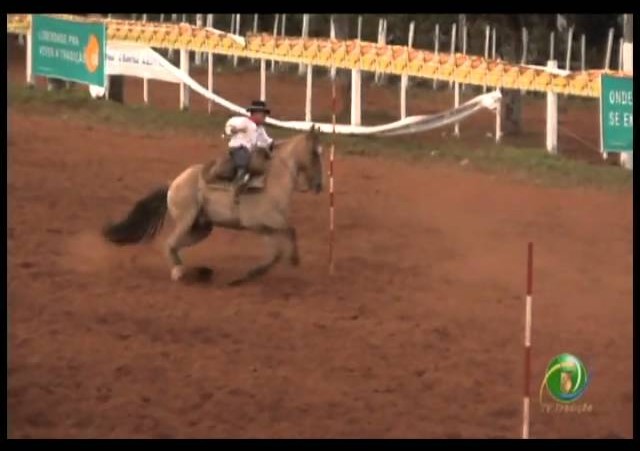 23ª Fecars »  Prova de Rédeas Piá »  30ª RT