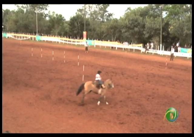 23ª Fecars »  Prova de Rédeas Piá »  22ª RT